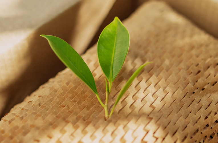 Sustainability